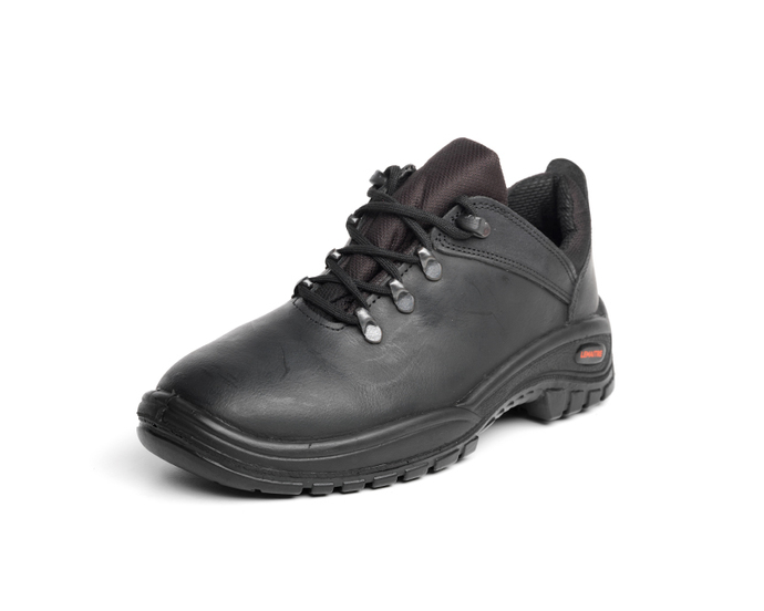 8560 safety shoes for sale